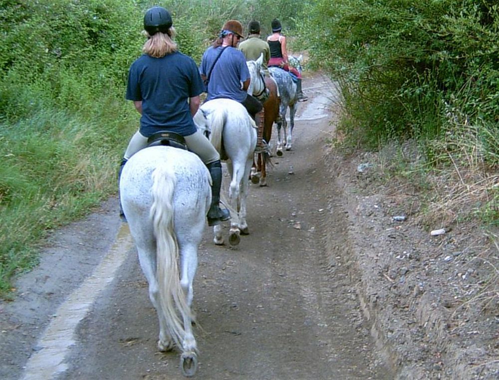 ארויו פריו Hotel Rural Montana De Cazorla מראה חיצוני תמונה